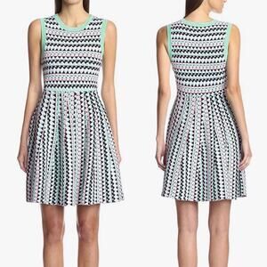 Susana Monaco revolve‎ knit chevron elena fit n flare dress size medium